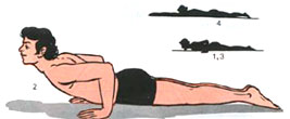 Bhujangasana (Serpent posture)